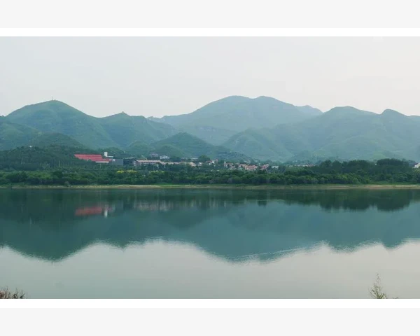气血不足，站立困难：探究中医视角下的健康之道