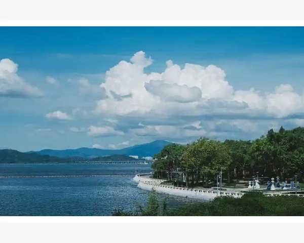 气血不足，精神萎靡不振：重拾活力的中医调理之道