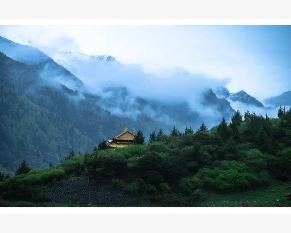 大暑养生：如何在炎热的天气中保持健康？